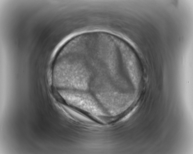 X0000086051510200704091159
