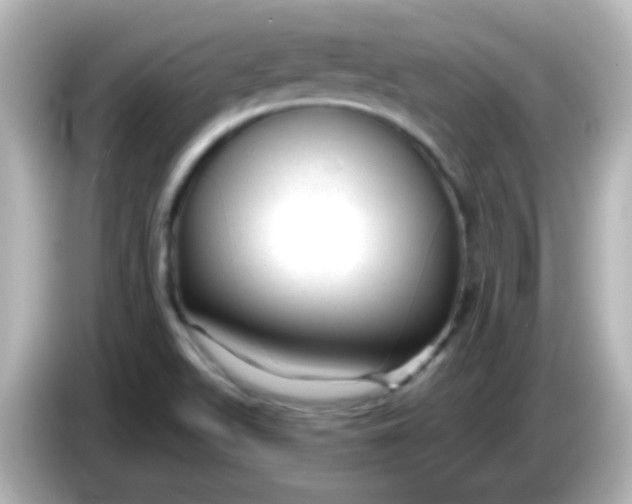 X0000086051511200704091159