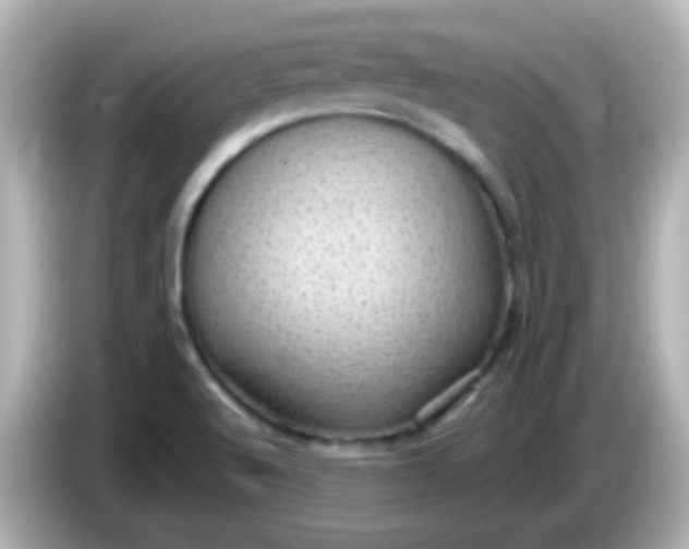 X0000086051512200704091159