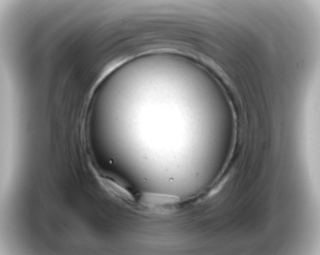 X0000086051513200704091159