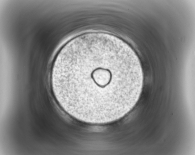 X0000086051514200704091159