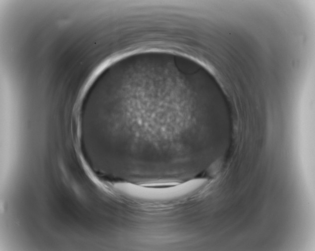 X0000086051515200704091159