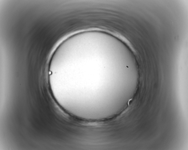 X0000086051516200704091159