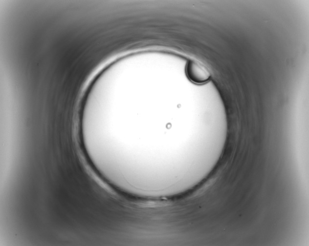X0000086051518200704091159