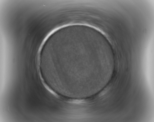 X0000086051519200704091159