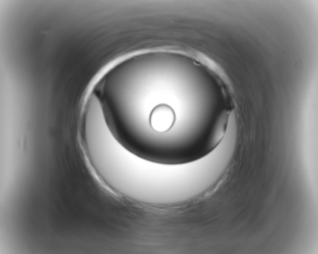 X0000086051520200704091159