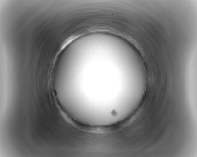 X0000086051521200704091159