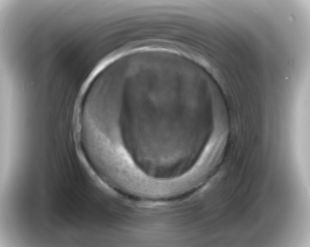 X0000086051522200704091159