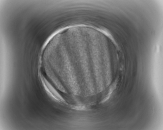 X0000086051524200704091200