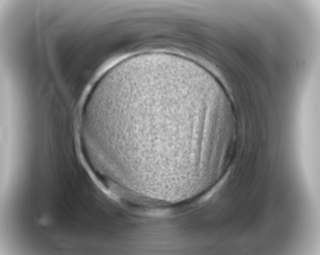 X0000086051525200704091200