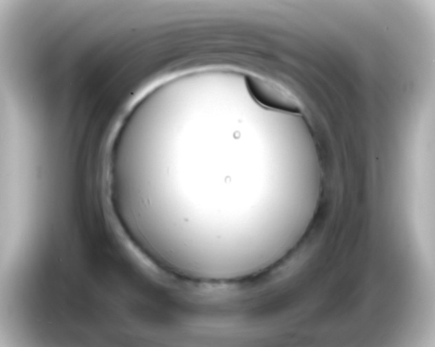 X0000086051526200704091200