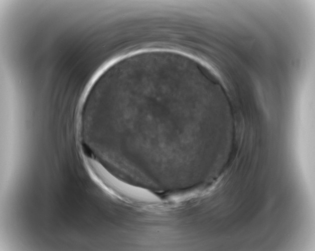 X0000086051527200704091200