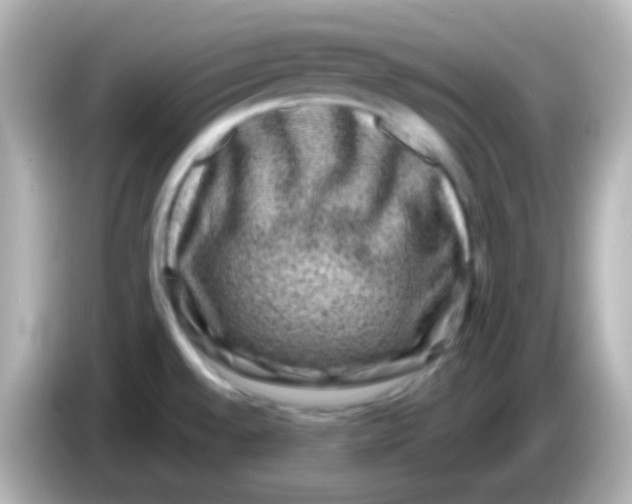 X0000086051528200704091200