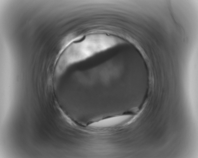 X0000086051529200704091200