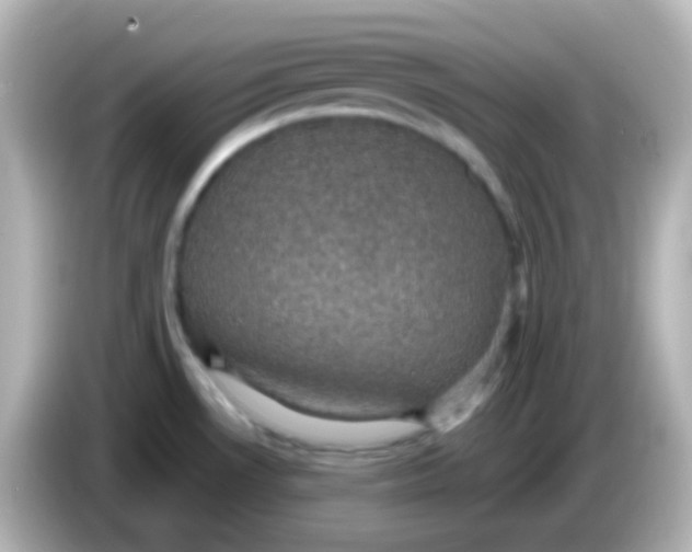 X0000086051530200704091200