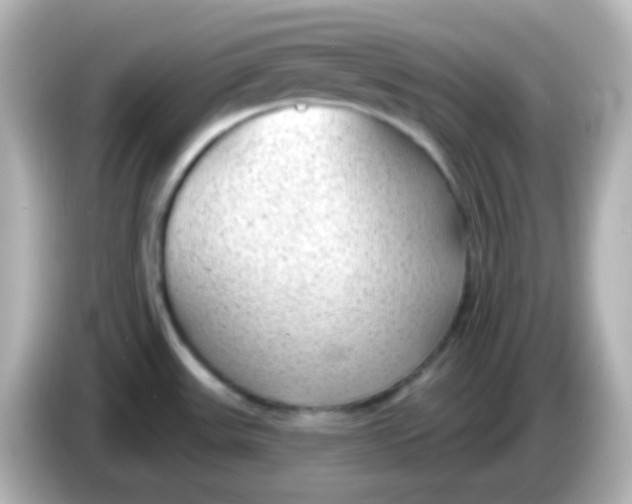 X0000086051531200704091200