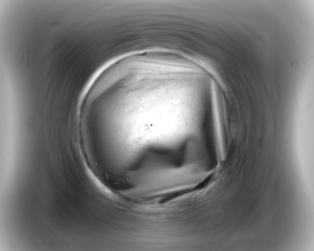 X0000086051532200704091200