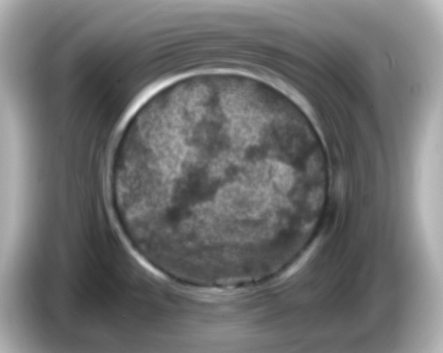 X0000086051533200704091200
