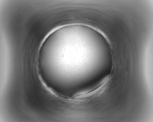 X0000086051534200704091200