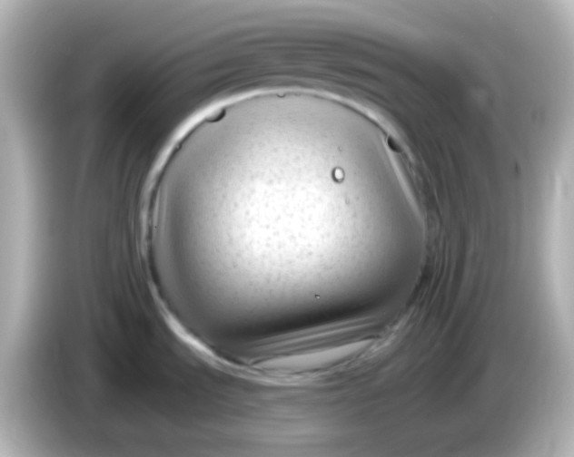 X0000086051535200704091200