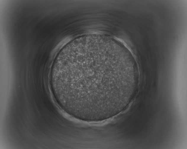 X0000086050001200704132006