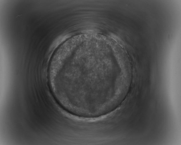 X0000086050002200704132006