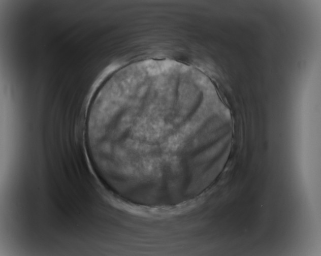 X0000086050003200704132006