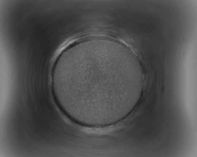 X0000086050005200704132006