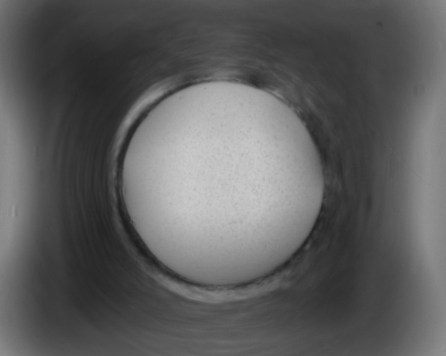 X0000086050006200704132006