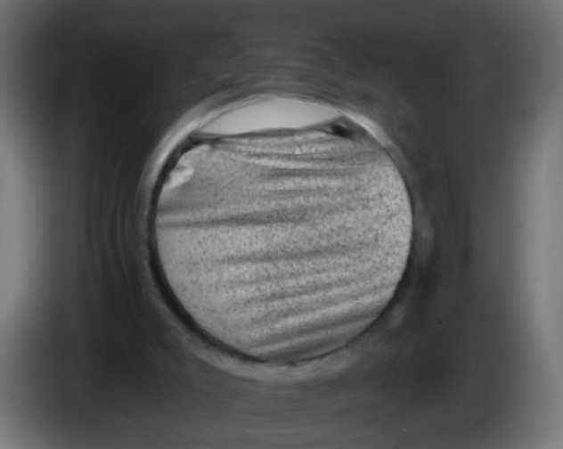 X0000086050007200704132006