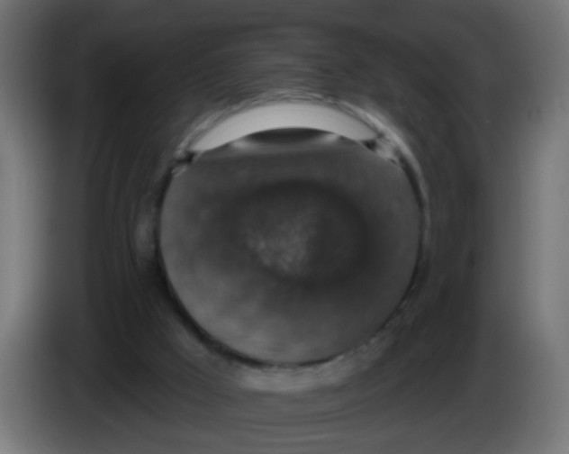 X0000086050009200704132006