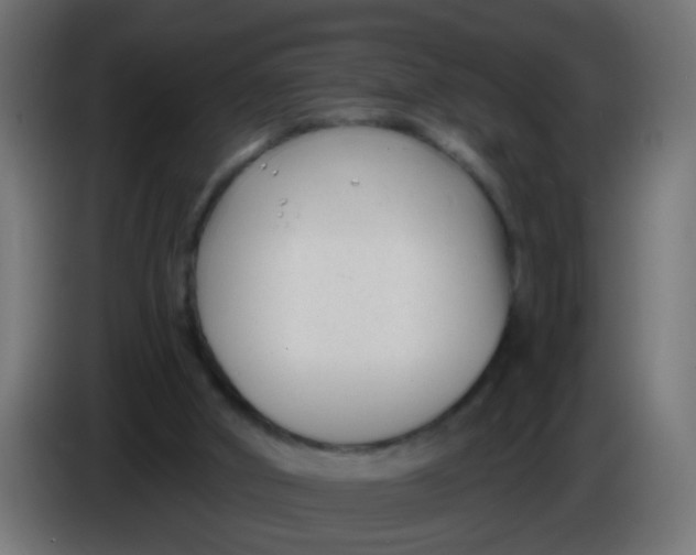 X0000086050010200704132006