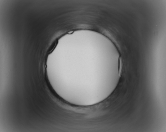 X0000086050011200704132006