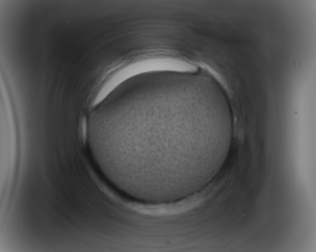 X0000086050013200704132006