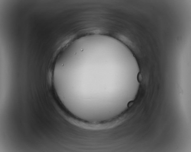 X0000086050014200704132006
