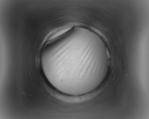 X0000086050015200704132006