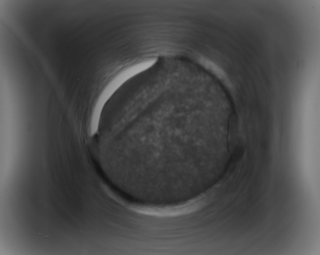 X0000086050017200704132006