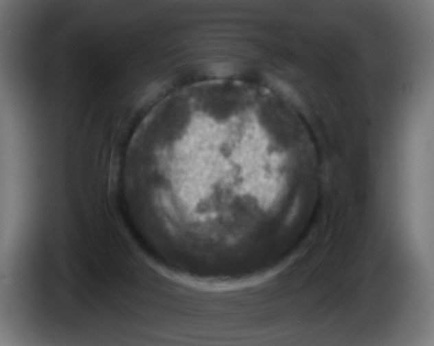 X0000086050018200704132006