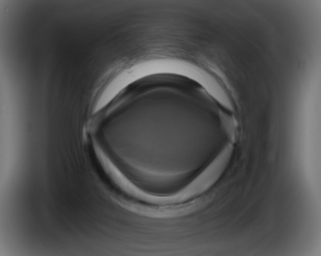X0000086050019200704132006