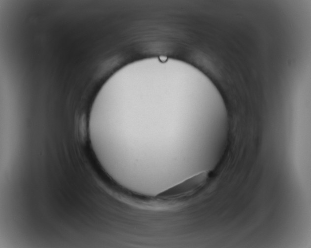 X0000086050020200704132006