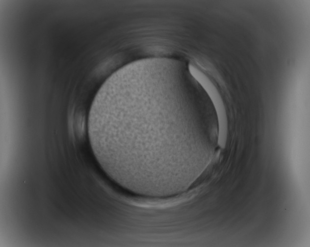 X0000086050021200704132006