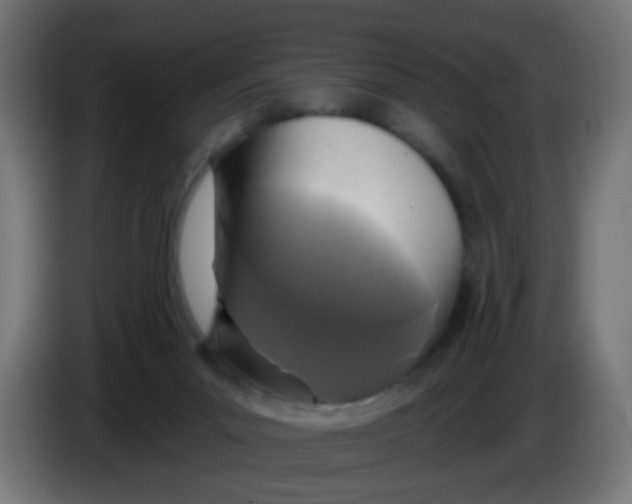 X0000086050023200704132006
