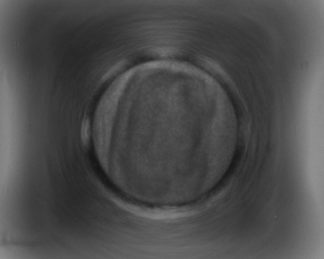 X0000086050024200704132006