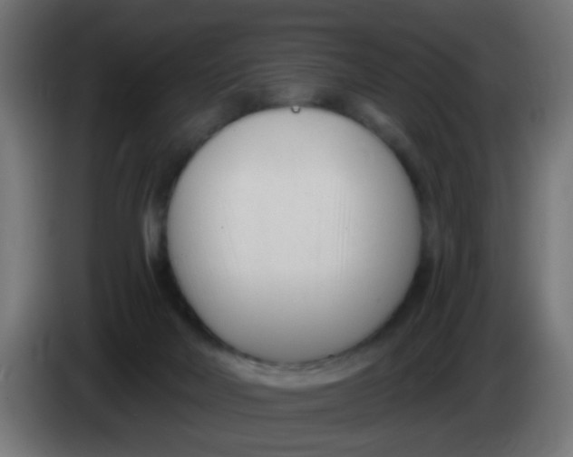 X0000086050026200704132006