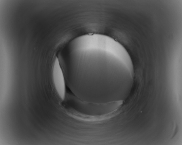 X0000086050027200704132006