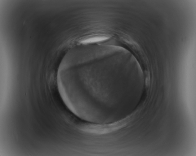 X0000086050029200704132006