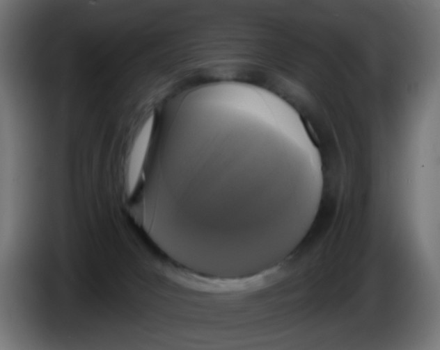 X0000086050031200704132006