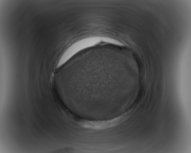X0000086050033200704132006
