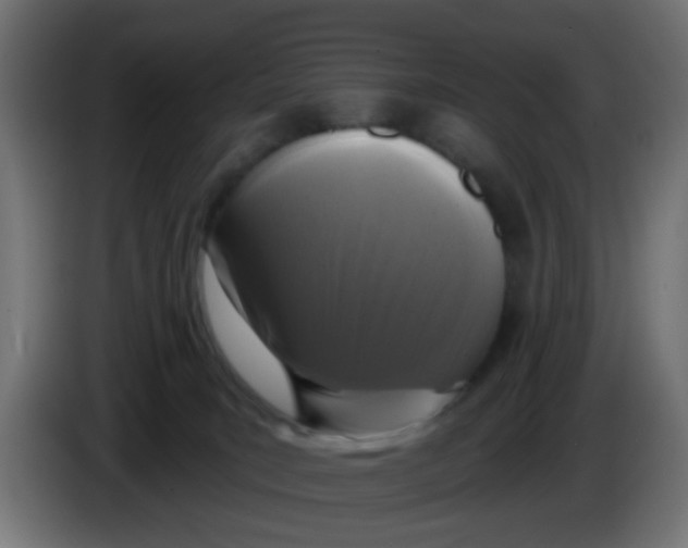 X0000086050035200704132006