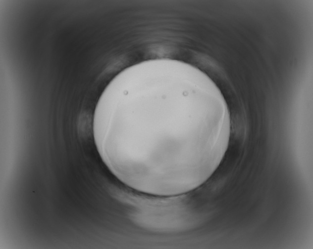 X0000086050036200704132006